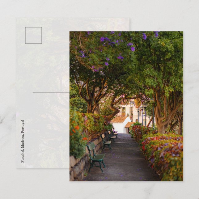 Funchal city park, Madeira Postcard (Front/Back)