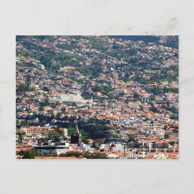 Funchal, Madeira Postcard (Front)