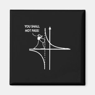Function Asymptote Geek Math Pun Teacher You Shall Magnet