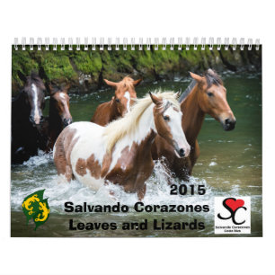 Fund Raiser Calendar Salvando Corazones 2015
