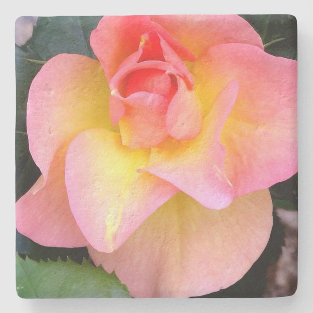 Fundarosa Tri-Colour Rose Limestone Stone Coaster (Front)