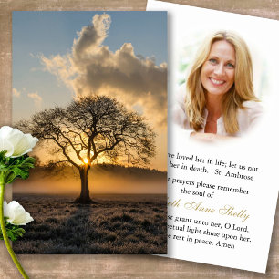 Funeral Loss Lone Tree Prayer Sympathy Cards