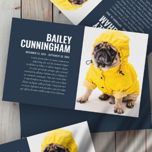 Funeral Memorial In Loving Memory Pet Photo Card