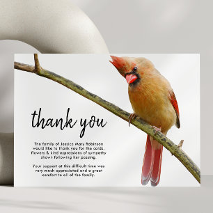 Funeral Thank You Note Cardinal Bird Card