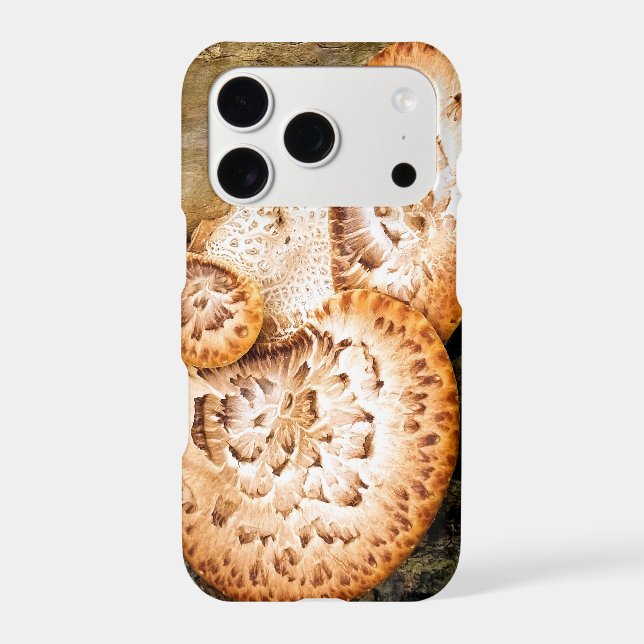 FUNGI    (Back)