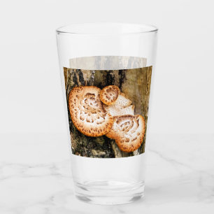 FUNGI GLASS