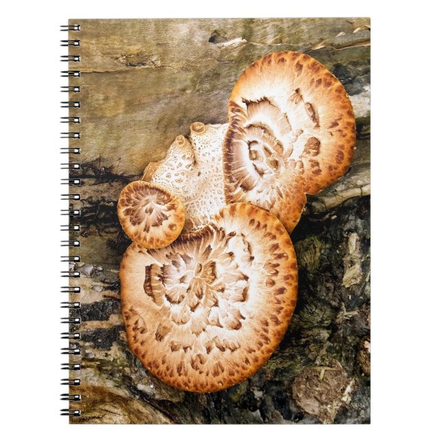 FUNGI  NOTEBOOK (Front)