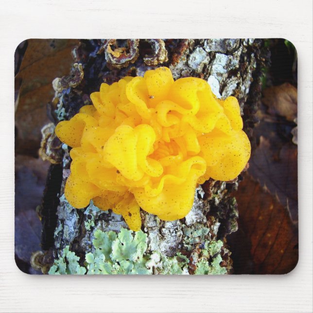 Fungi Tremella Mesenterica Mouse Mat (Front)