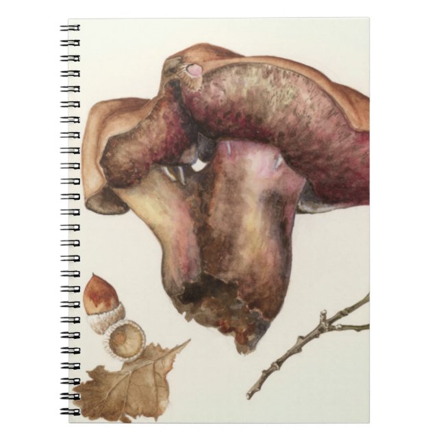 Fungus Notebook (Front)