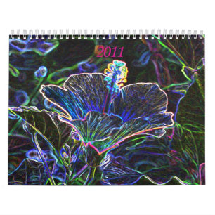 Funky 2011 Calendar