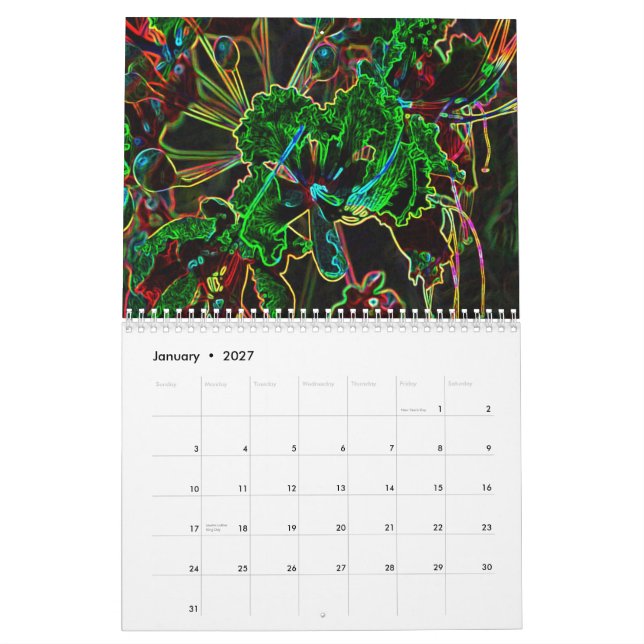 Funky 2011 Calendar (Jan 2027)