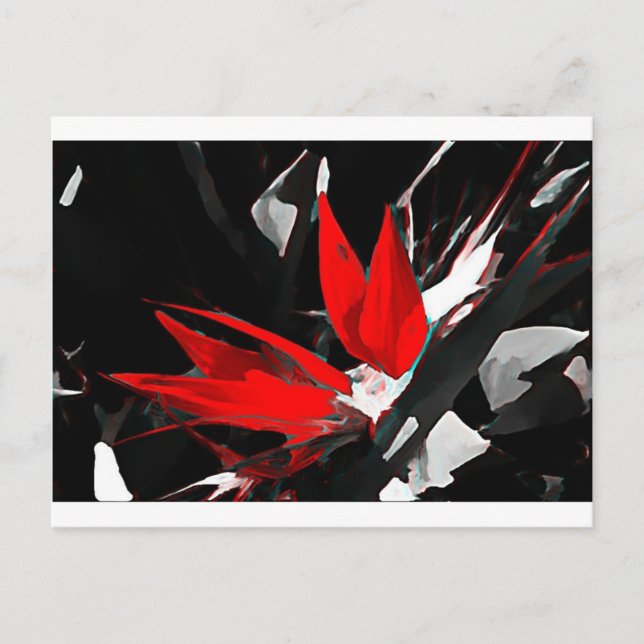 Funky Bird of Paradise Postcard (Front)