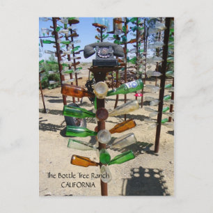 Funky Bottle Tree Ranch Postcard! Postcard