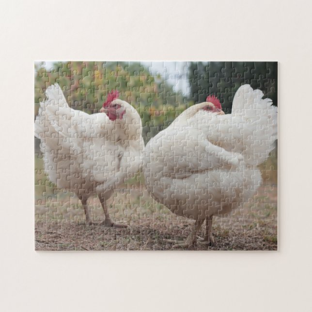 Funky Chicken Hen Hy-Line Silver Brown Jigsaw Puzzle (Horizontal)