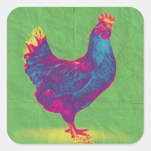 Funky Chicken Square Sticker