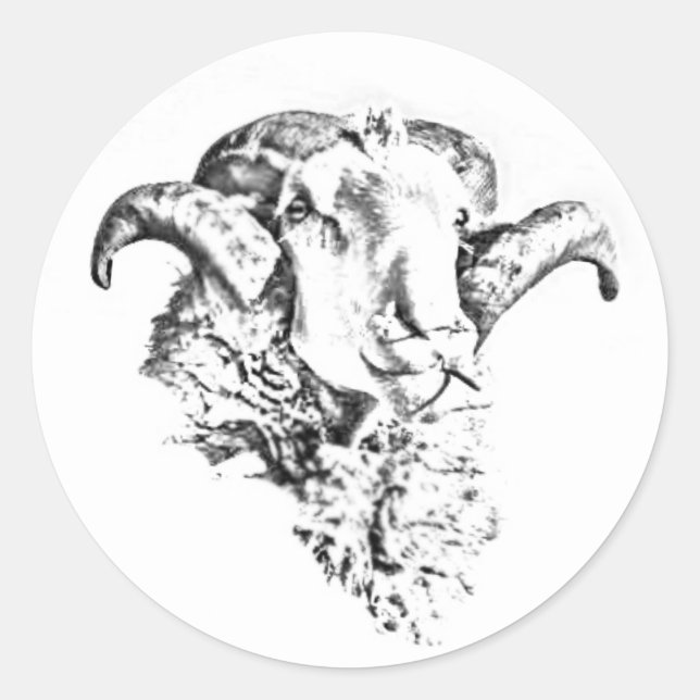 Funky Cute Sheep Ram Head Sketch Classic Round Sticker (Front)
