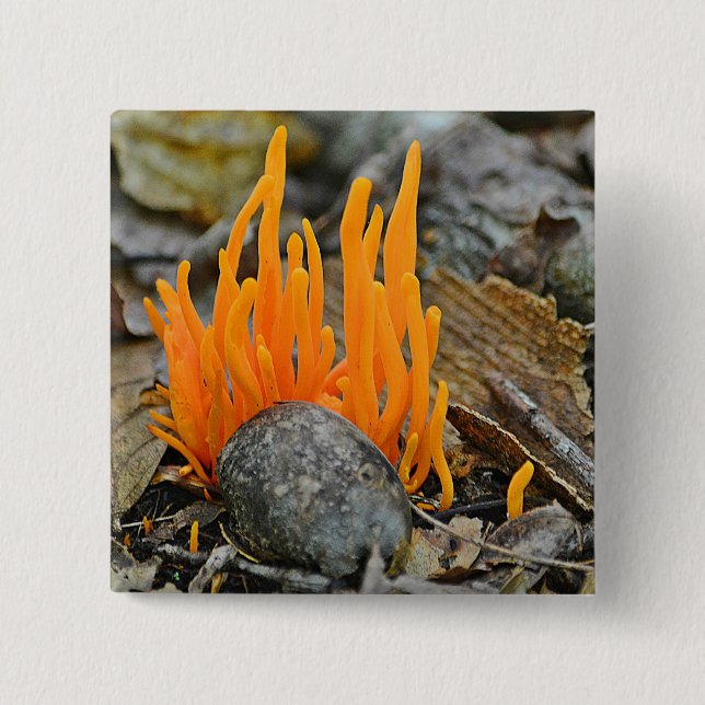 Funky Fungi Button (Front)