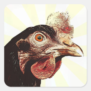 Funky Grumpy Chicken Superstar Square Sticker