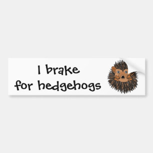 Funky Hedgehog Art Design Bumper Sticker