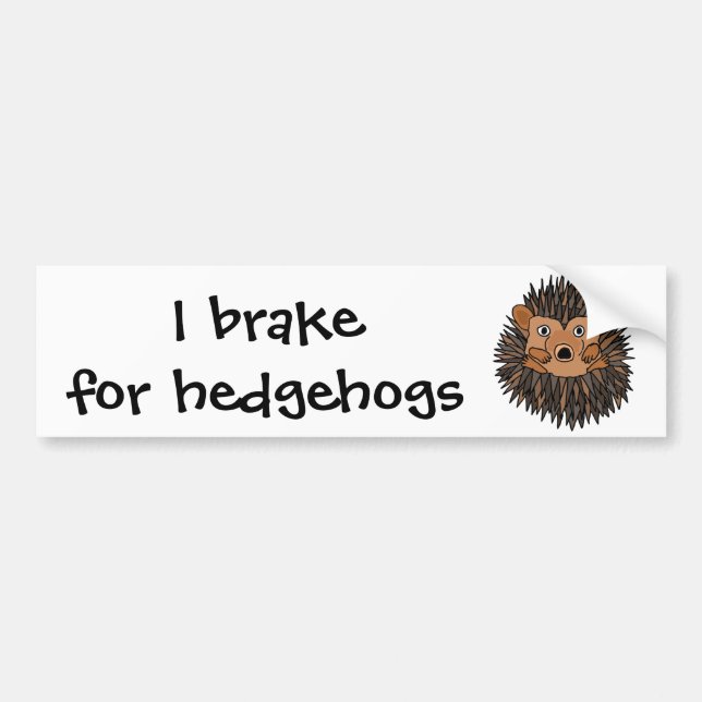 Funky Hedgehog Art Design Bumper Sticker (Front)