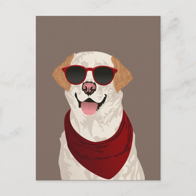 Funky Labrador Retriever for Dog Lovers Postcard (Front)