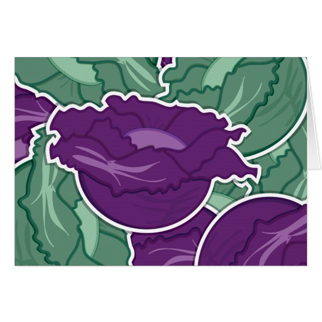 Funky mixed cabbage (Front Horizontal)