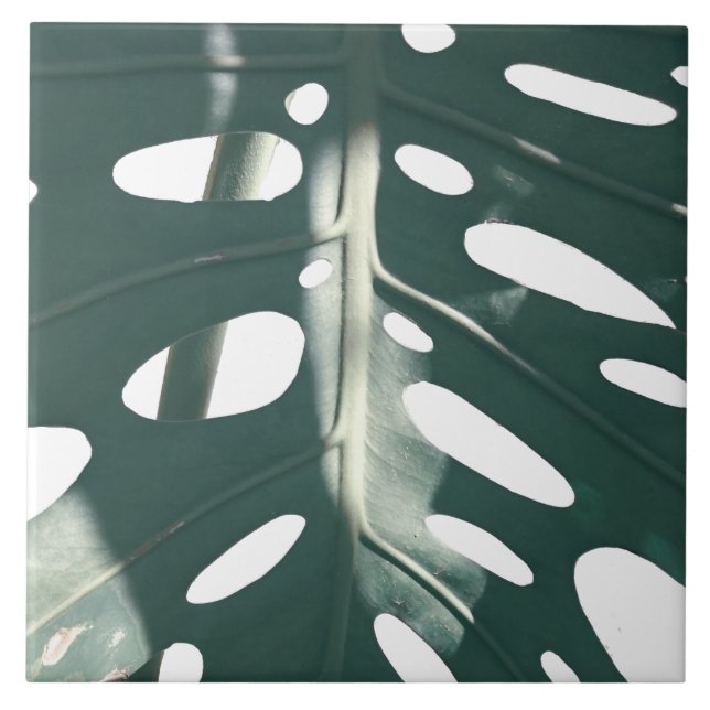 Funky Pale Green Swiss Cheese Plant Ceramic Tile (Front)