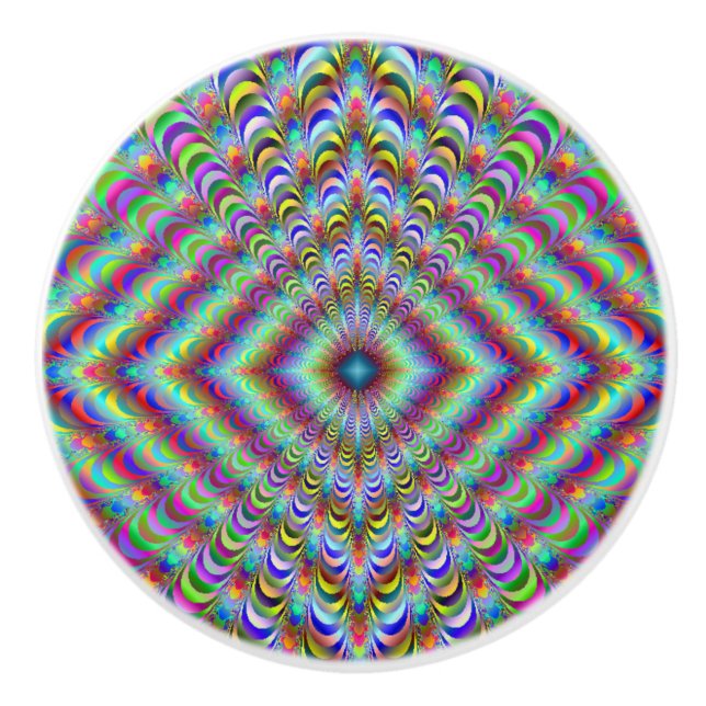 Funky Rainbow Fronds Fractal Drawer Knob (Front)