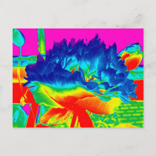 Funky Rainbow Multi Coloured Flower Popart Postcard