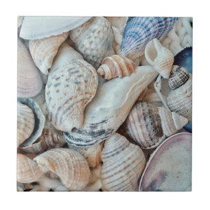 Funky Sea Shells Holiday Seaside Ceramic Tile