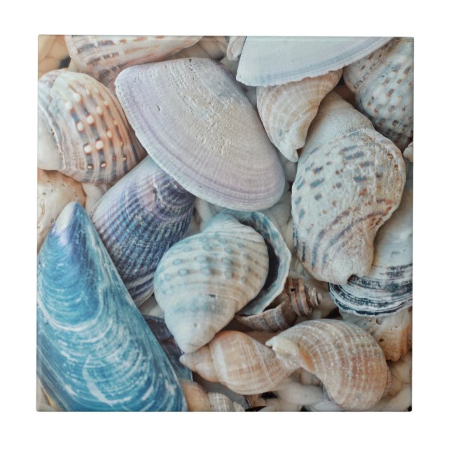 Funky Sea Shells Holiday Seaside Ceramic Tile (Front)