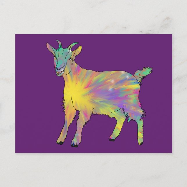 Funky Starburst Goat Colourful Cute Animal Art Postcard (Front)