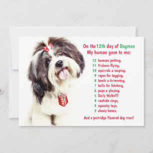Funny 12 Days of Christmas Dogmas  Holiday Card