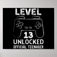 Funny 13th birthday level 13 unlocked gamers