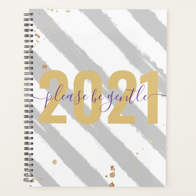 Funny 2021 Please be gentle New Year Silver Stripe Planner (Front)