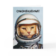 Funny 31st Anniversary Card