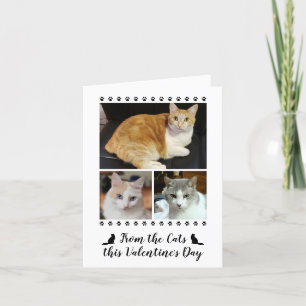 Funny 3 Photo Script From Cat Dog Pet Valentines Holiday Card