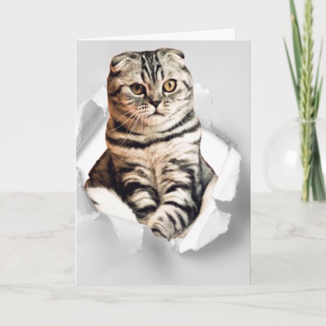 Funny 3d graphic cat torn paper illusion  card (Front)