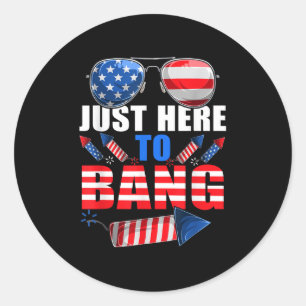 Funny 4th Of July Usa Sungles Fireworks Bang Patri Classic Round Sticker