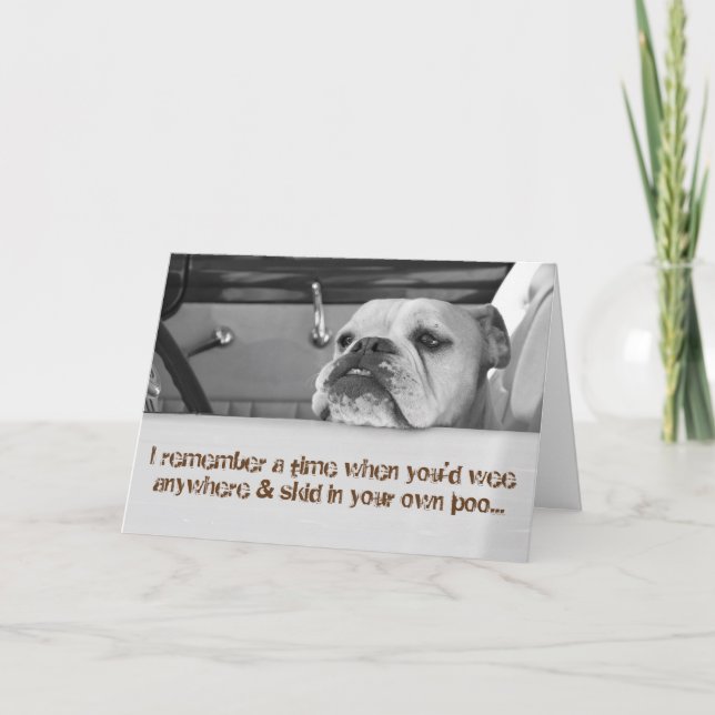 Funny 50th Birthday Greeting Card - Skid in Poo (Front)