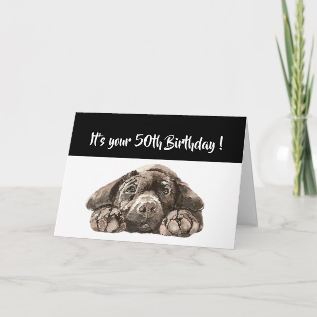 Funny 50th Birthday, Labrador Retriever Card (Front)