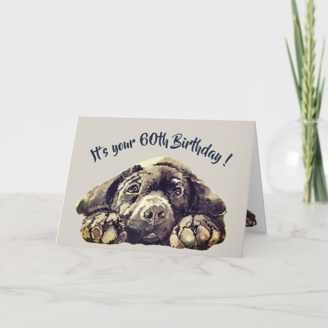 Funny 60th Birthday, Labrador Retriever Card (Front)
