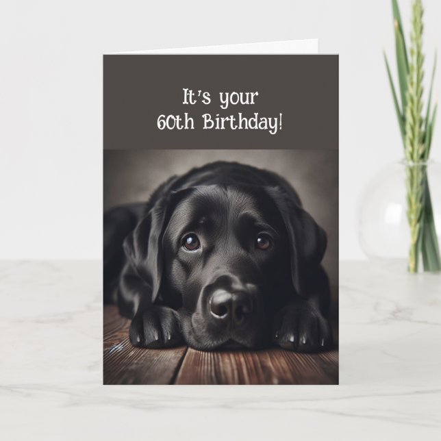 Funny 60th Birthday, Labrador Retriever Card (Front)