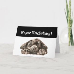 Funny 70th Birthday, Labrador Retriever Card