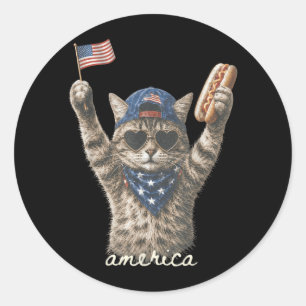 Funny Aamerica Cat Hotdog 4th Of July Flag Classic Round Sticker