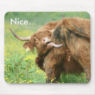 Funny Aberdeen Angus Cow Mousepad / Mousemat