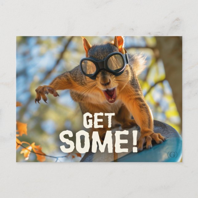Funny Action Squirrel Postcard "Get Some"			 (Front)