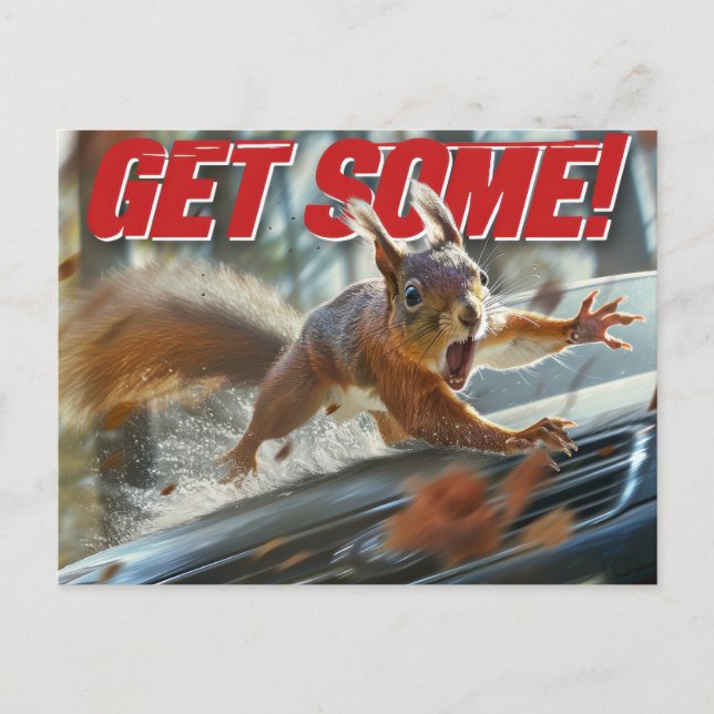 Funny Action Squirrel Postcard "Get Some"			 (Front)
