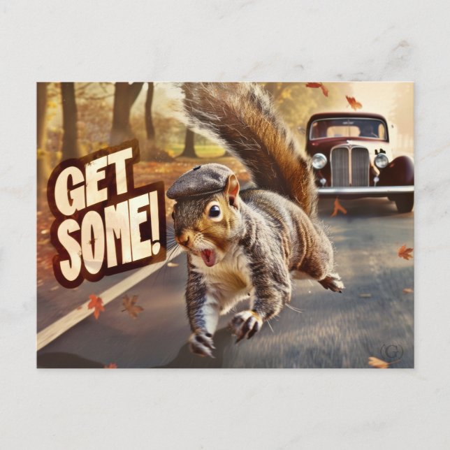 Funny Action Squirrel Postcard "Get Some"			 (Front)