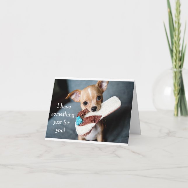 Funny adorable chihuahua dog birthday card (Front)